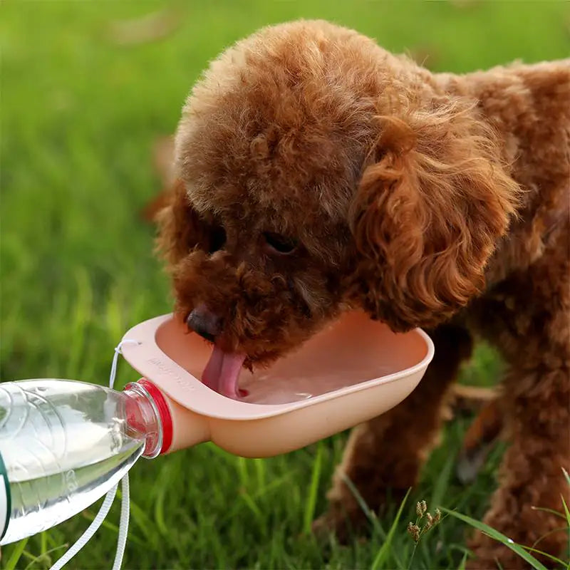 Travel Pet Hydration Bottle
