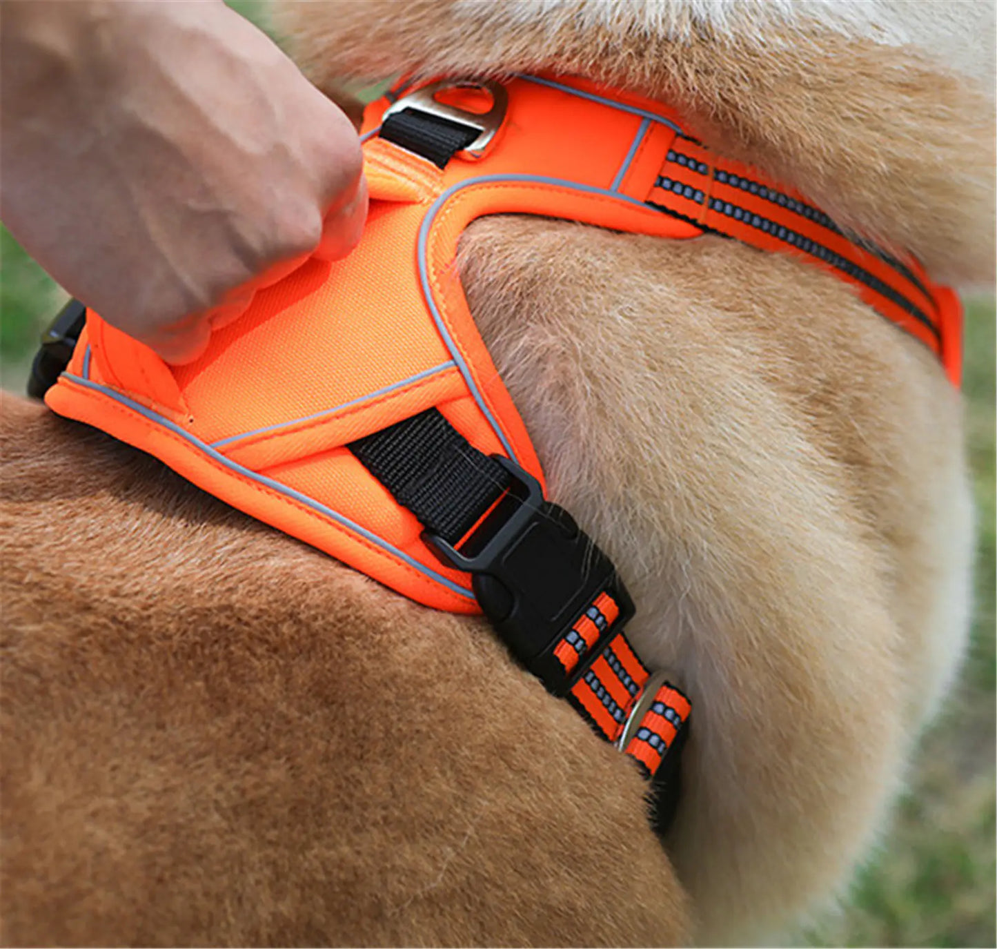 Sturdy Rainproof Pet Harness with Handle