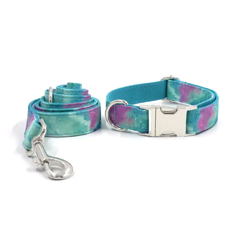 Sturdy Style Dog Collar & Leash
