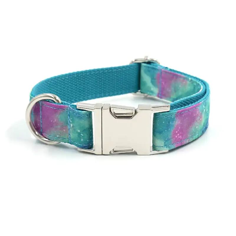 Sturdy Style Dog Collar & Leash