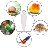 1PC Cuttlefish Bones Pet Parrot Perch Hamster Hanging Bell Calcium Supplements Molars Chewing Toys Bird Food Parakeet Cage Decor