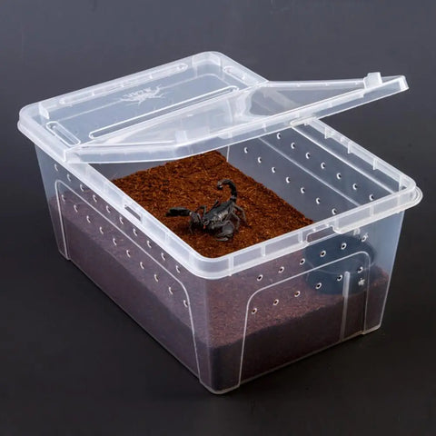 Reptile Feeding Box Tortoise Habitat Side Ventilation Hole Habitat Insect Feeding Box Terrarium Tank Escape Proof Feeding Box