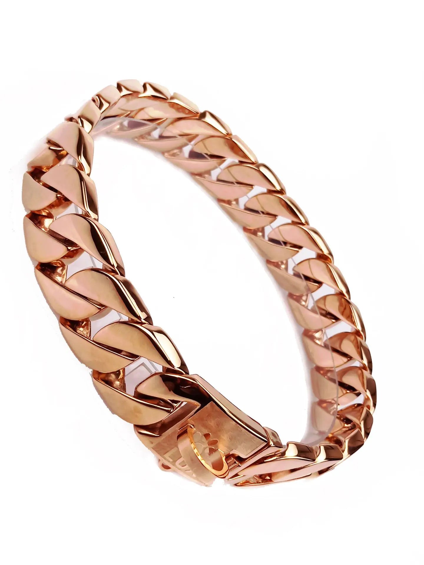 Stainless Steel Cast Dog Collar