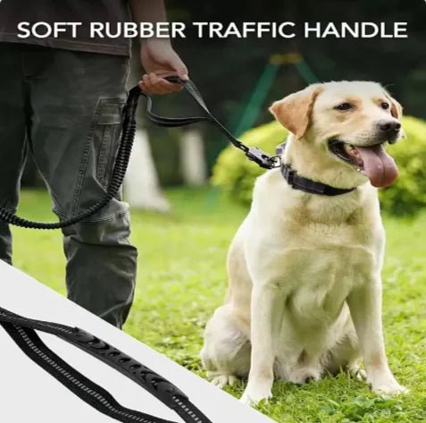 Tactical Dog Leash – Heavy-Duty & Secure