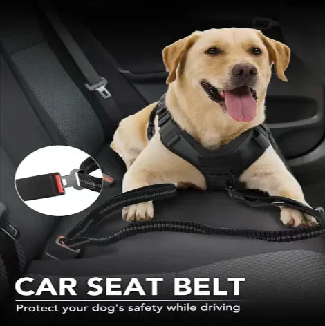 Tactical Dog Leash – Heavy-Duty & Secure