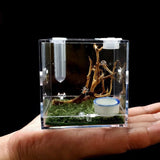 Small Reptiles Breeding Box Clear Acrylic Cage Habitat Insect Feeding Box Terrarium Tank Escape Proof For Jumping Spider