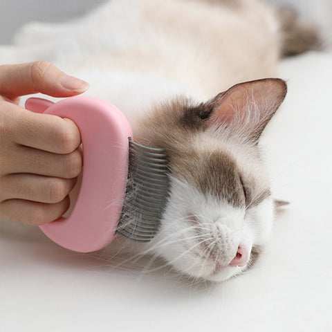 Pet massage comb cleaning brush