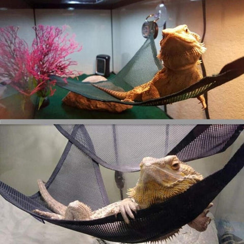 Reptile Hammock Lounger Ladder Accessories Set for Large Small Bearded Dragons Anole Geckos Lizards or Snakes Reptile Accessorie
