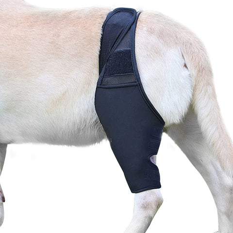 Pet Dog Knee Brace Support Dog Injuries