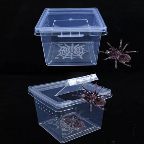 Acrylic Box New in Feeding Reptile Cage Hatching Container Rearing Tank for Lizards Terrarium Tortoise Spider Beetle Insect House