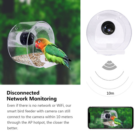 New Bird Feeder With Camera Bird Feeders House With Wireless WiFi Bird Camera 1080p Outdoor